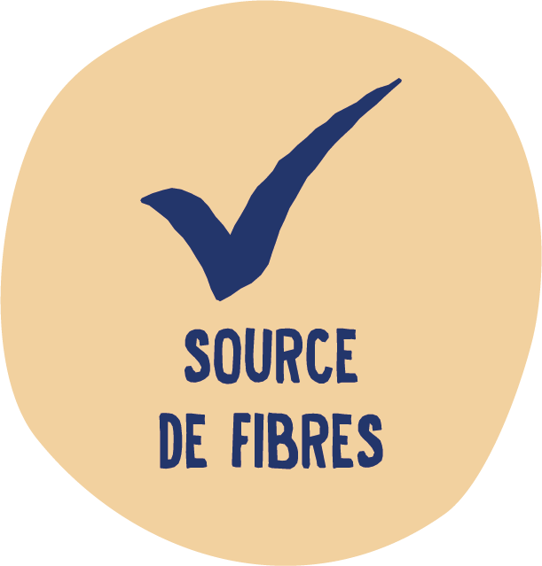 source of fibre
