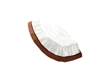 nakd ingrédient noix de coco